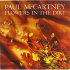 PAUL McCARTNEY 1989 Flowers In The Dirt